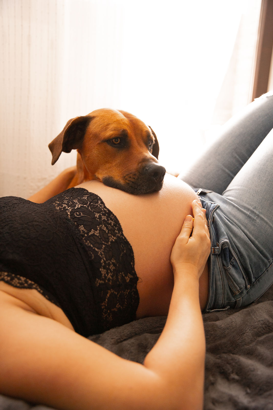 Eine schwangere Frauliegt mit offenem Hemd in einem hellen Raum. Sie ist glücklich und lächelt. Ein brauner Hund liegt auf dem nackten Bauch.